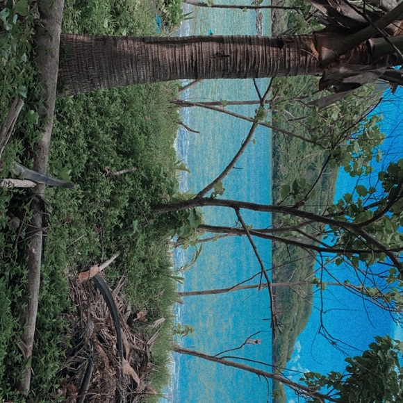 Meet your Posher, Aunie - Picture 1 of 1